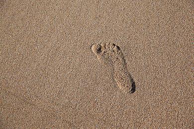 首日补丁就绪 《失落之魂》发文希望偷跑玩家不要剧透